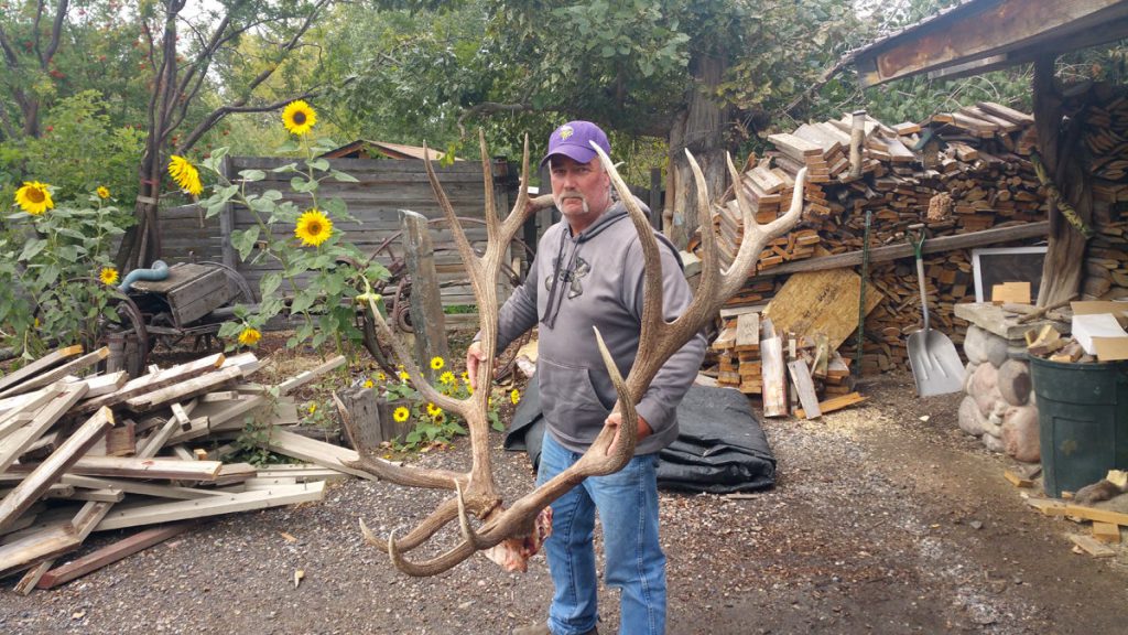 world record bull elk