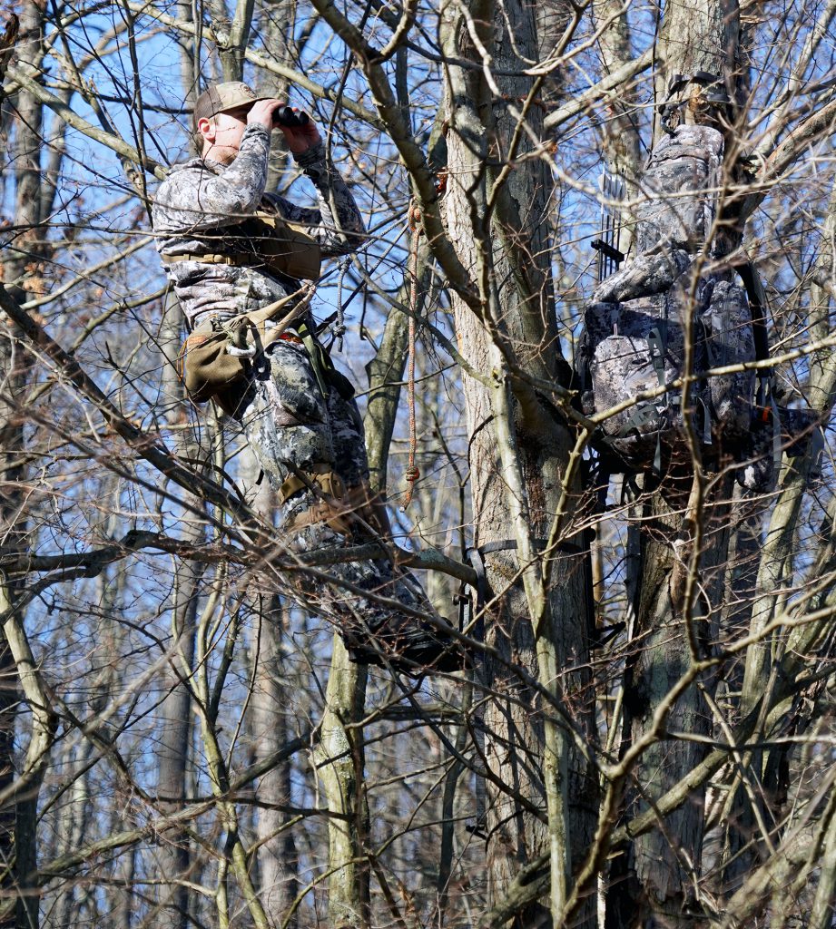 hunter glassing from tree saddle