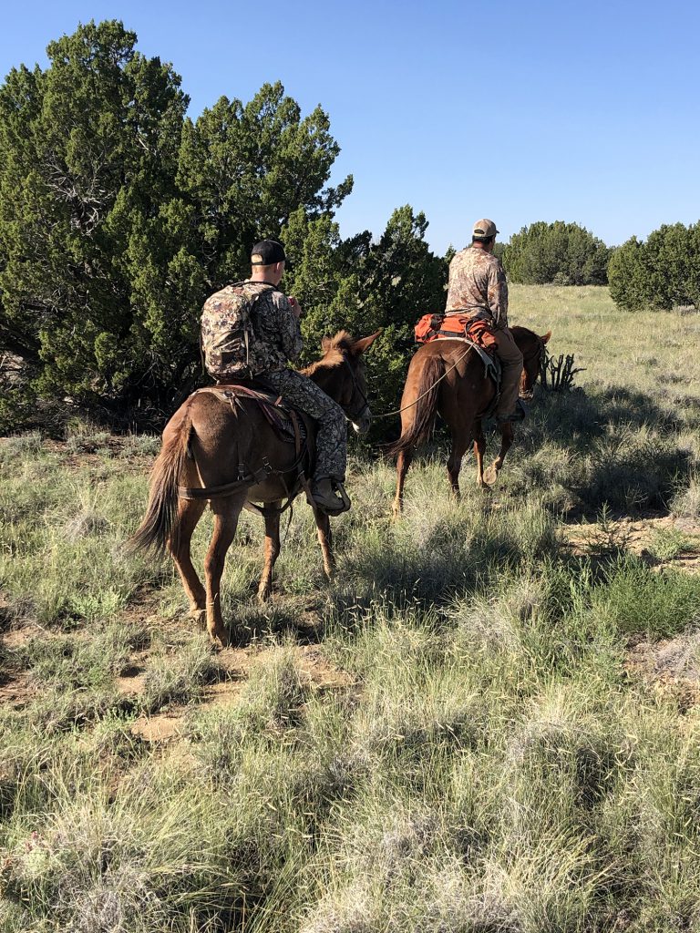 colorado elk hunting