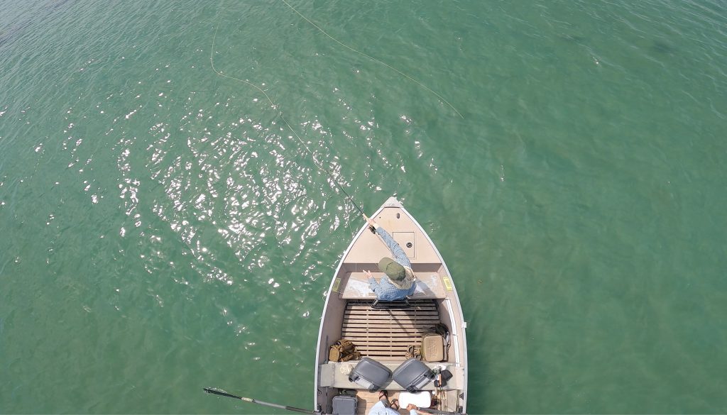 casting from the bow for carp