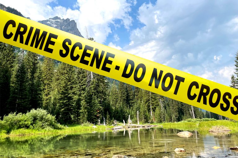 National Park Murders: Hundreds Killed, Missing - No One Is Talking