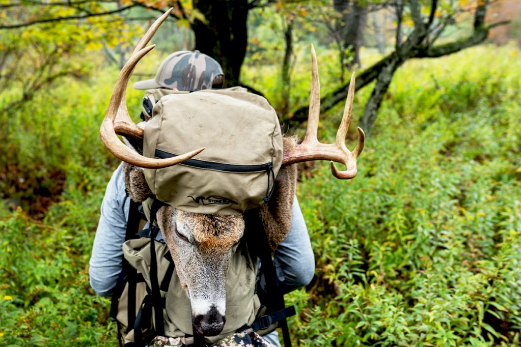 hunter packing out whitetail buck