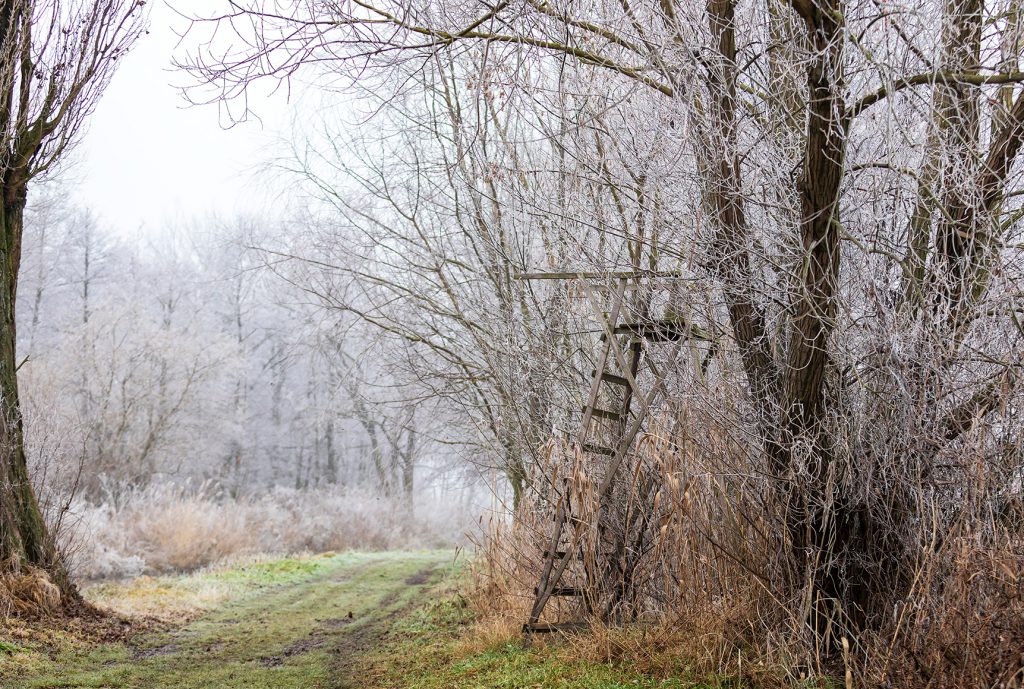 old wooden treestand treestand safety harness