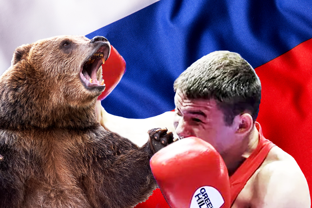 Boxing bear