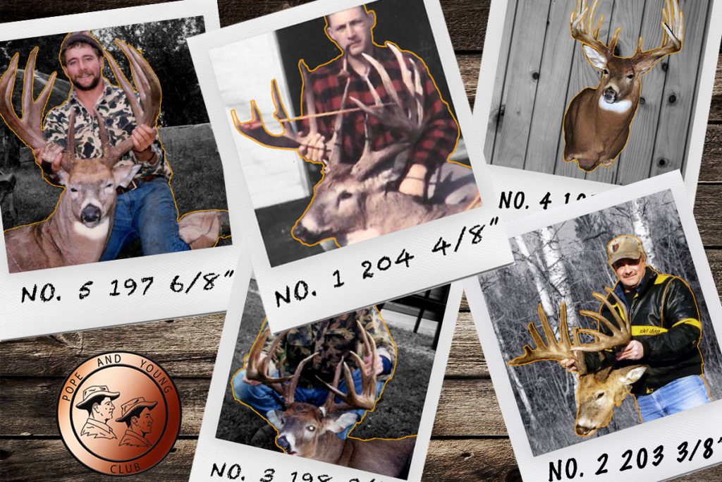 World Record Whitetail The Top 5 Typical Archery Bucks