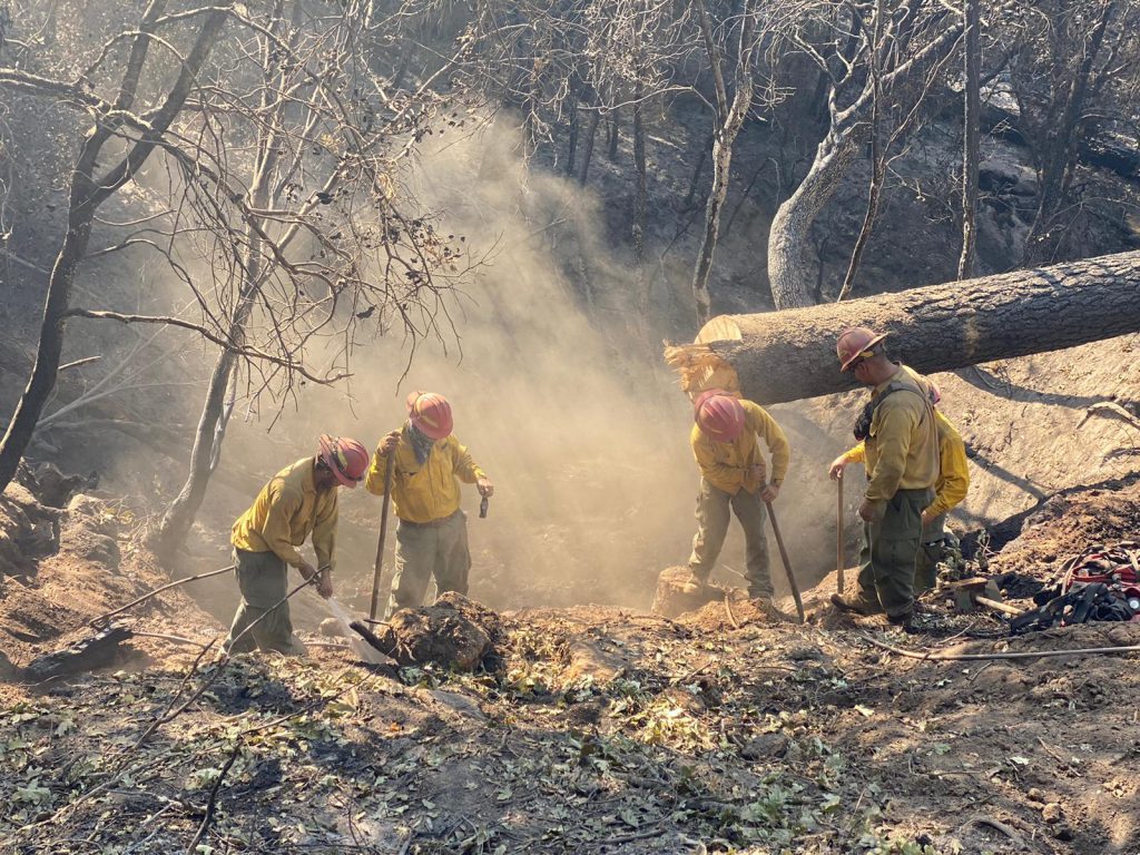 wildfire firefighters