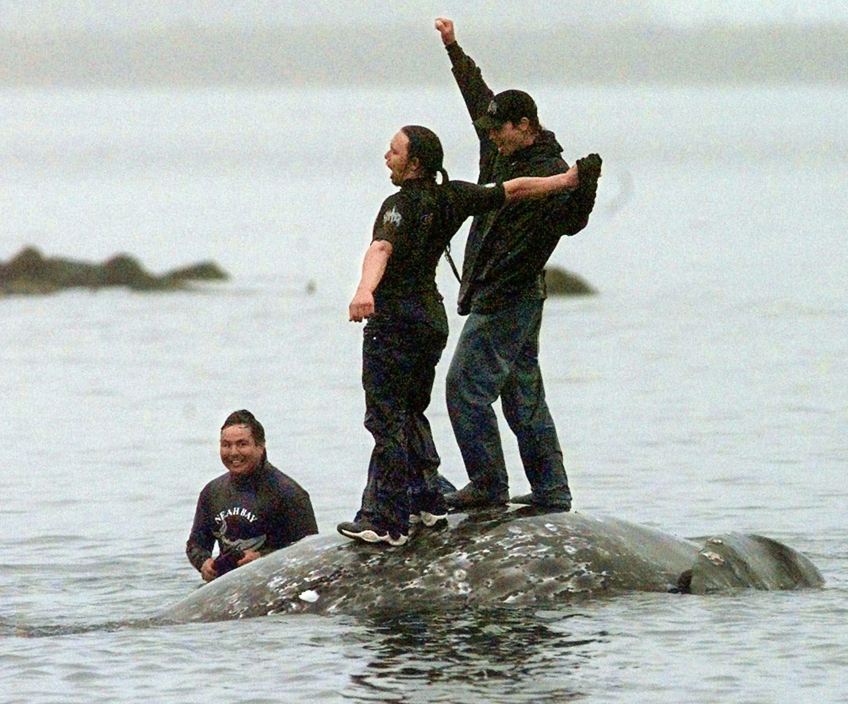 Makah Tribe Could Resume 2,700YearOld Whale Hunting Tradition