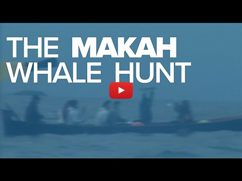 makah whale hunting