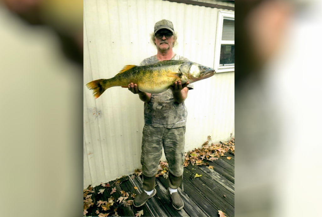 PA state record walleye