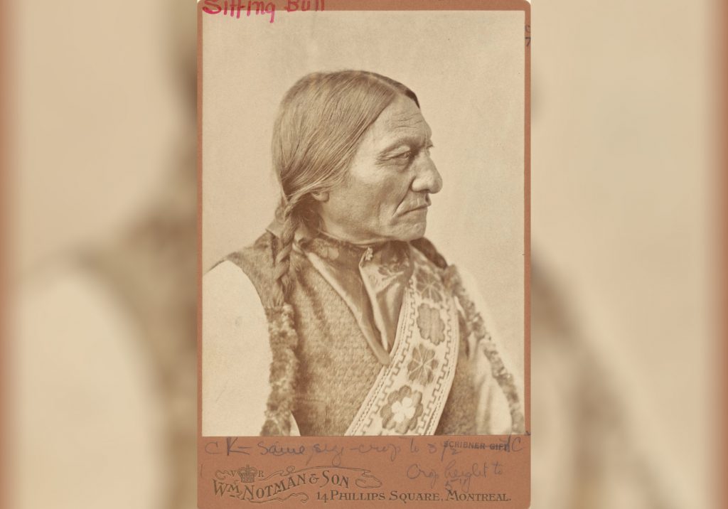 sitting bull dna test