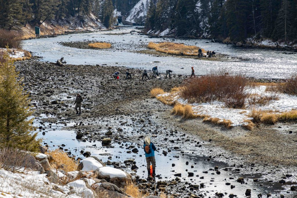 Montana Fish, Wildlife & Parks photo of Madison River