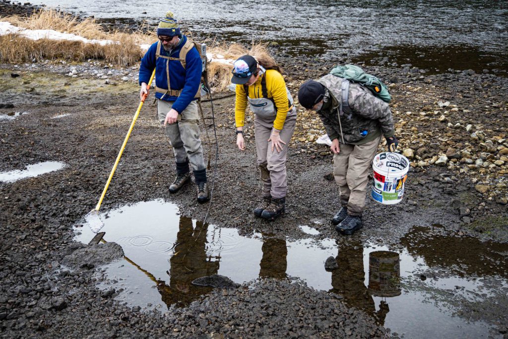 electro fishing gear on the madison river