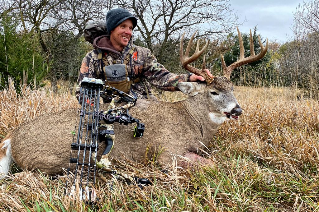 whitetail buck