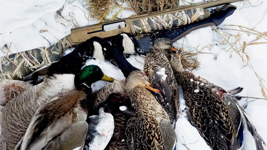 Cold Weather Duck Hunting Gear That Will Keep You Warm and Shooting