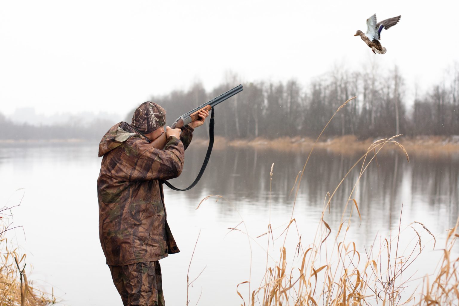 Mississippi Duck Hunting Victory Public Land Buffer Zone Rejected