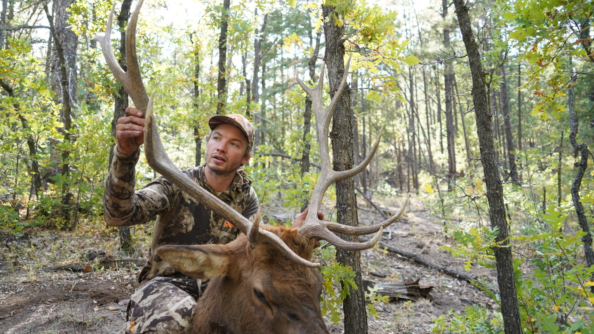 nice elk for the gold medalist