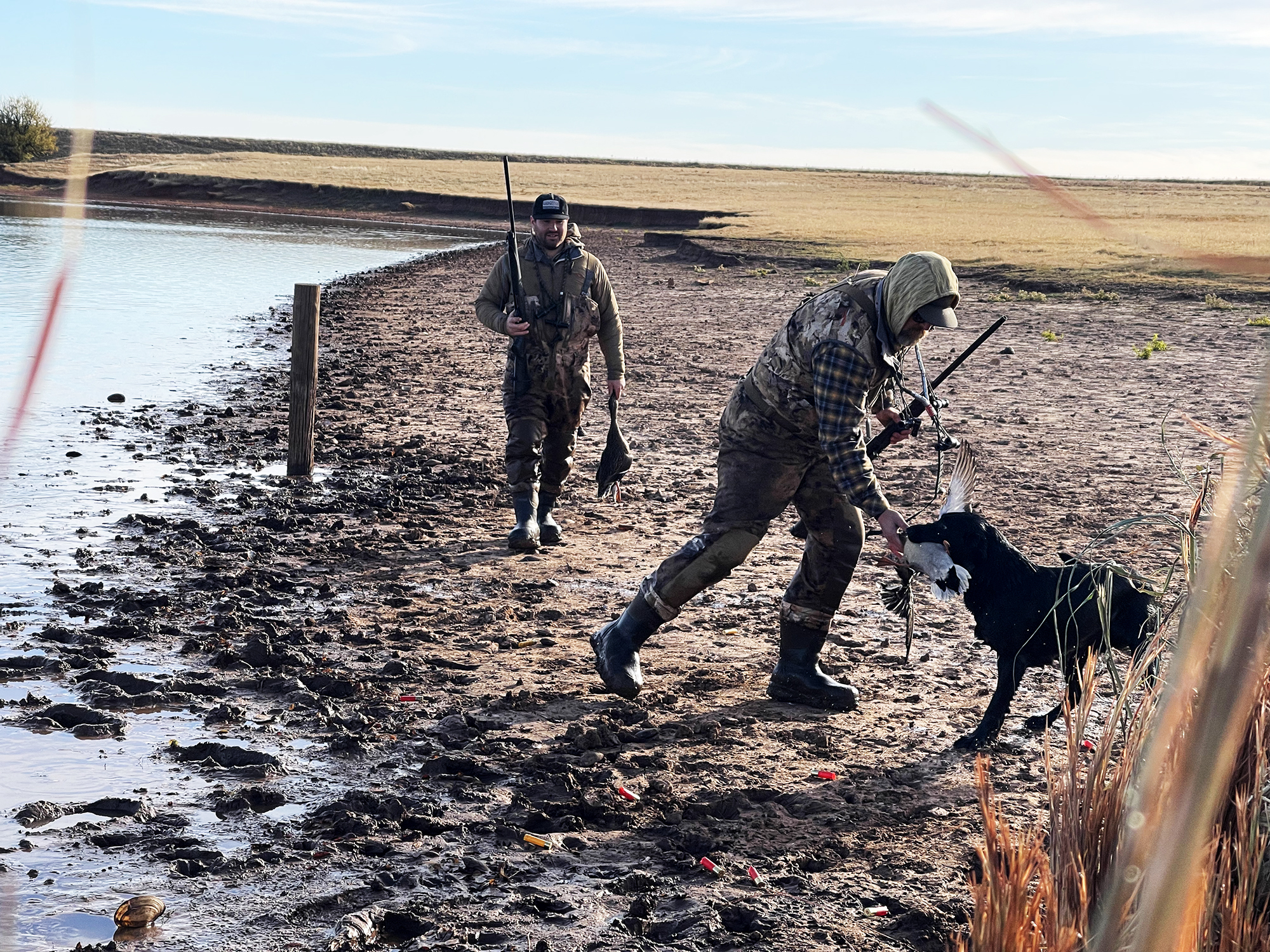 duck retrieved