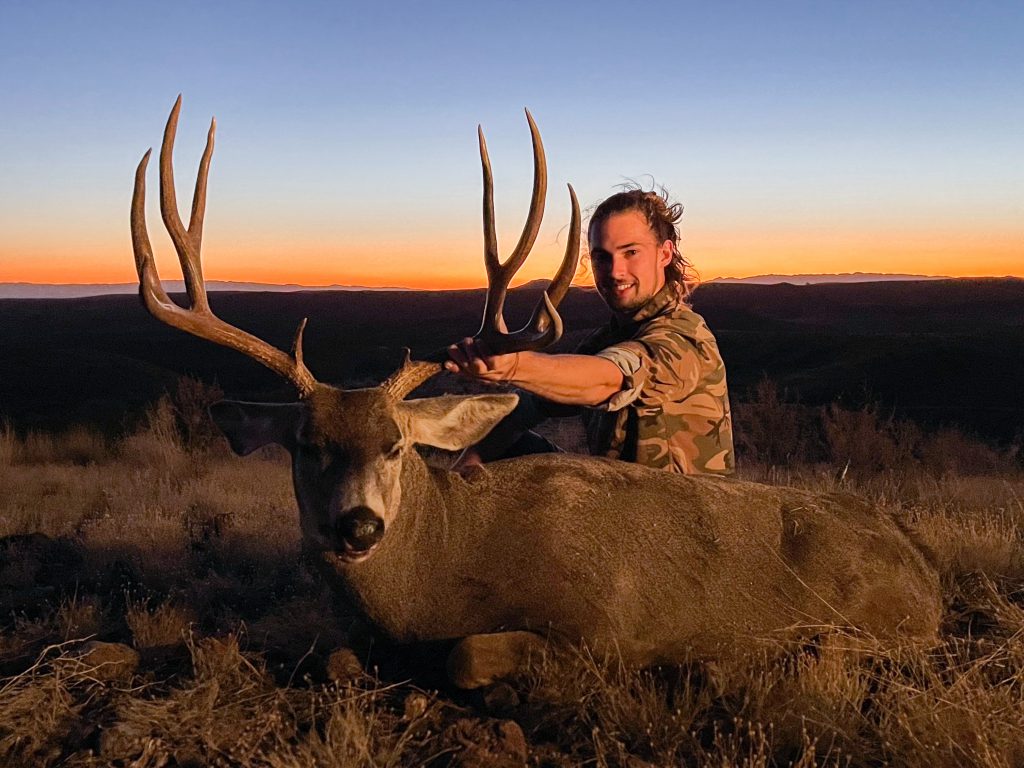 mule deer texas hunt