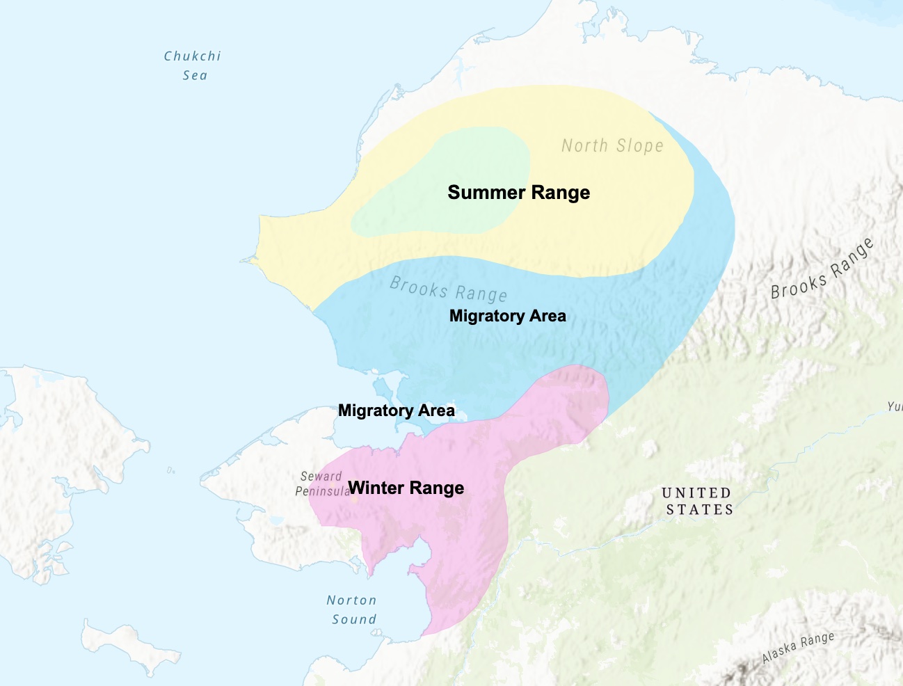 alaska caribou herd migration map