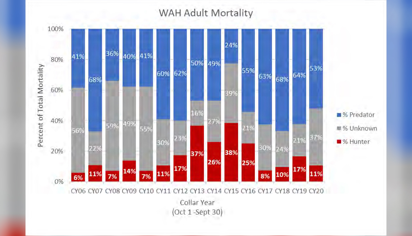 Alaska caribou mortality