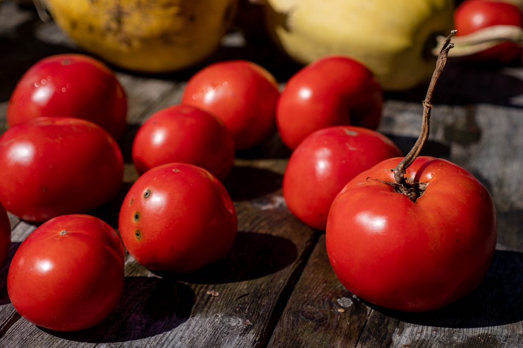 tomato jam recipe