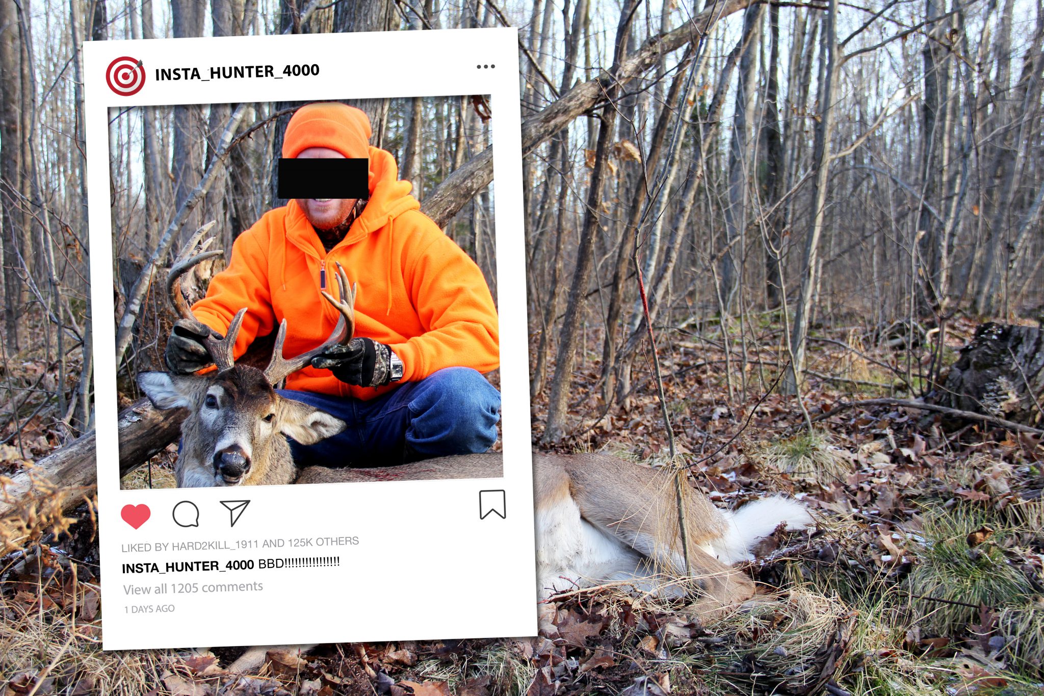 Jay Cutler Posts Massive Bull Elk on Instagram After Montana Hunting Trip