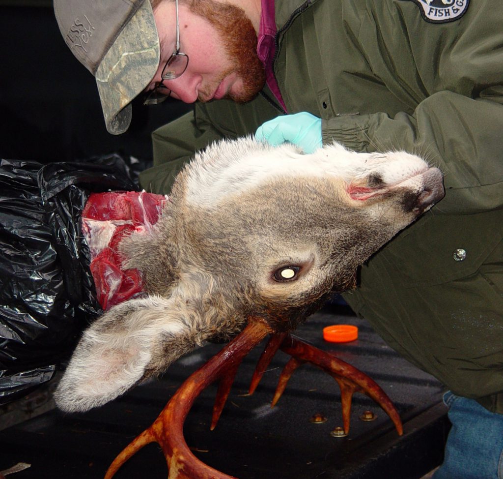 CWD Western States Update - Hunting, Fishing and Outdoor