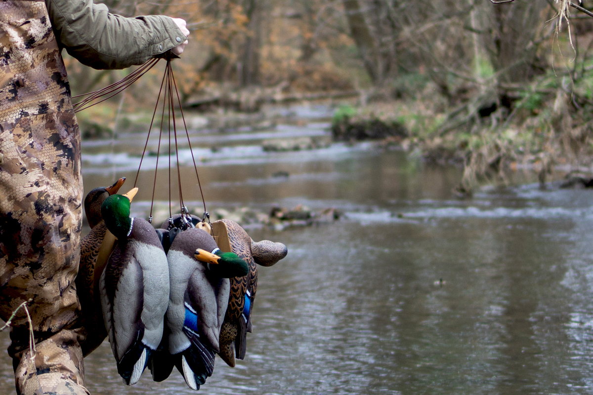 6 Simple Steps for Duck Hunting Creeks: Guns, Gear, and Tactics