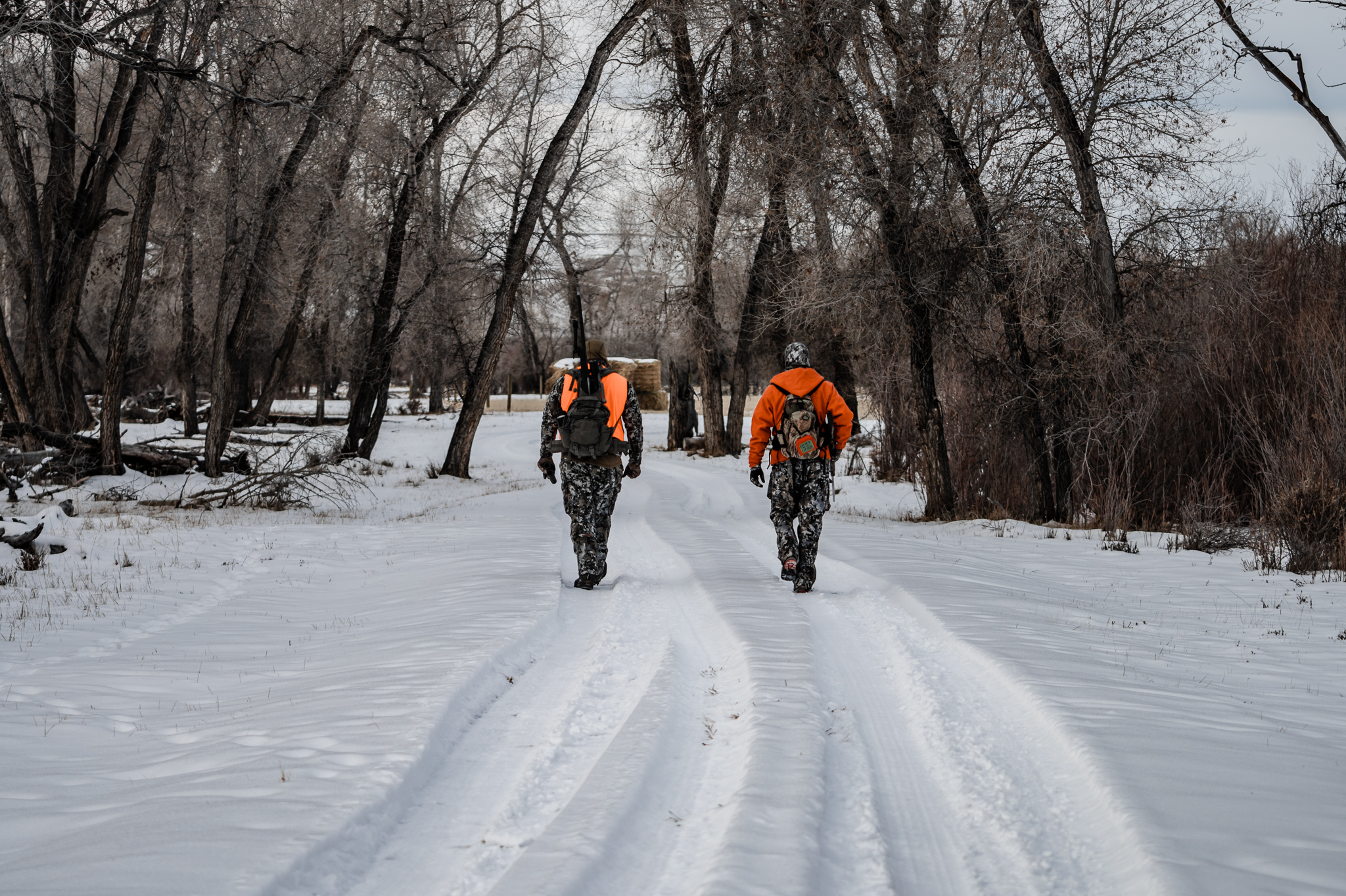 CWD managemen hunt