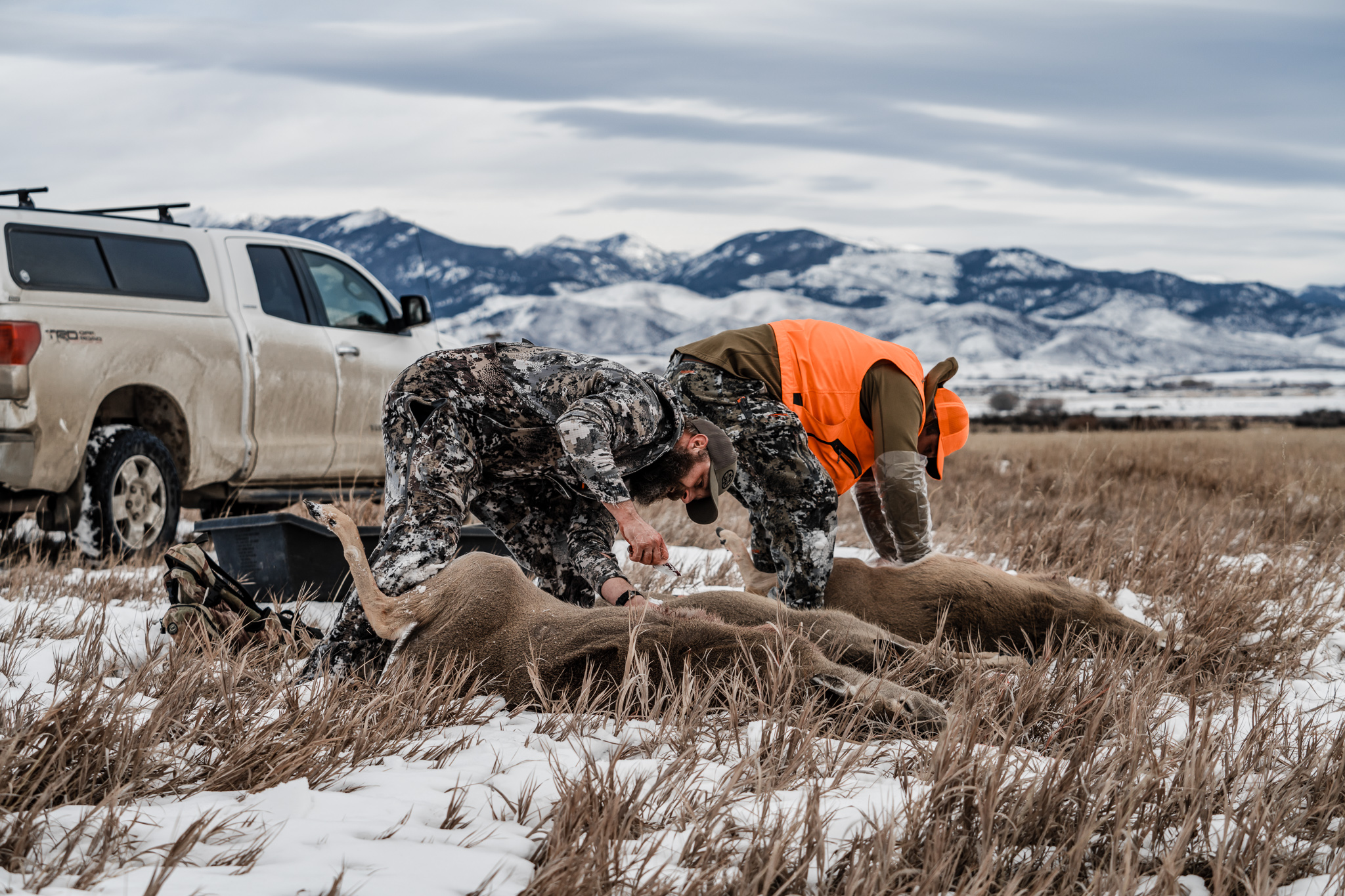 CWD management hunt