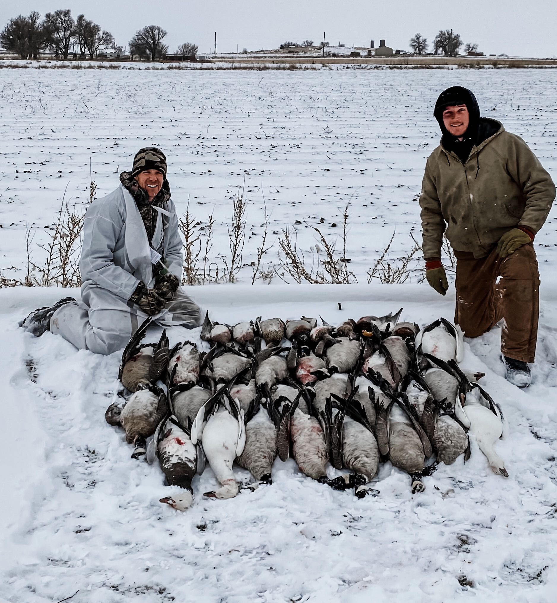 goose hunting