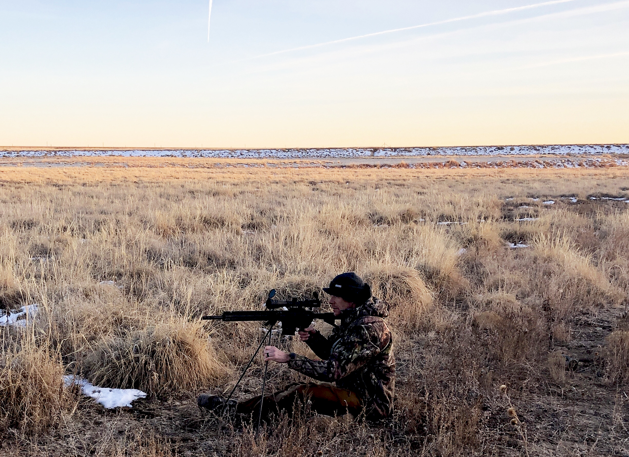 coyote hunting