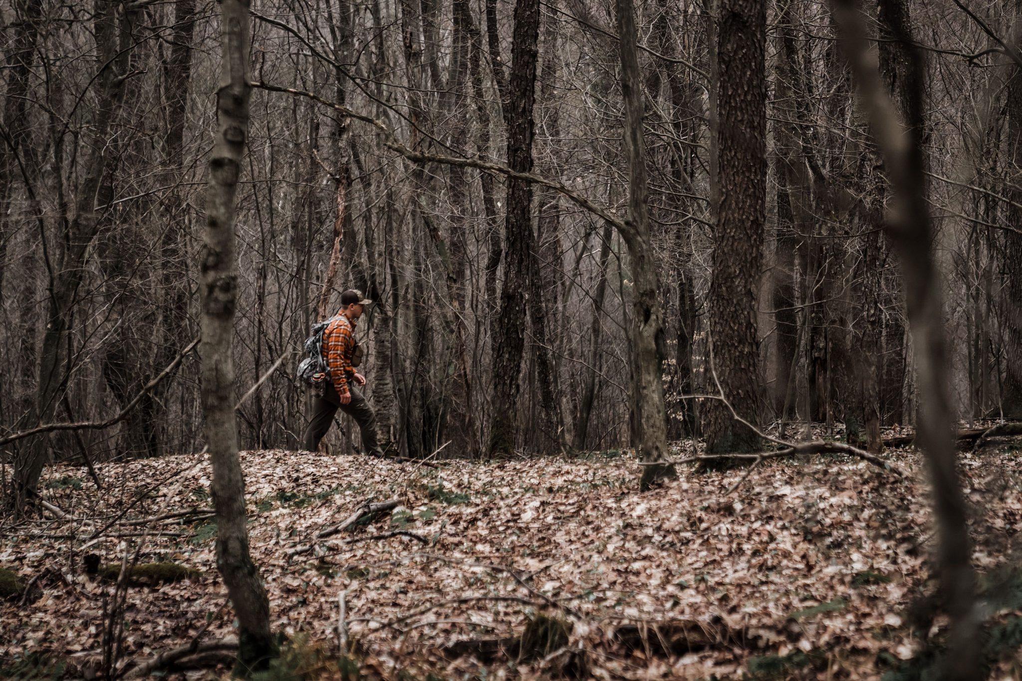 pennsylvania whitetail