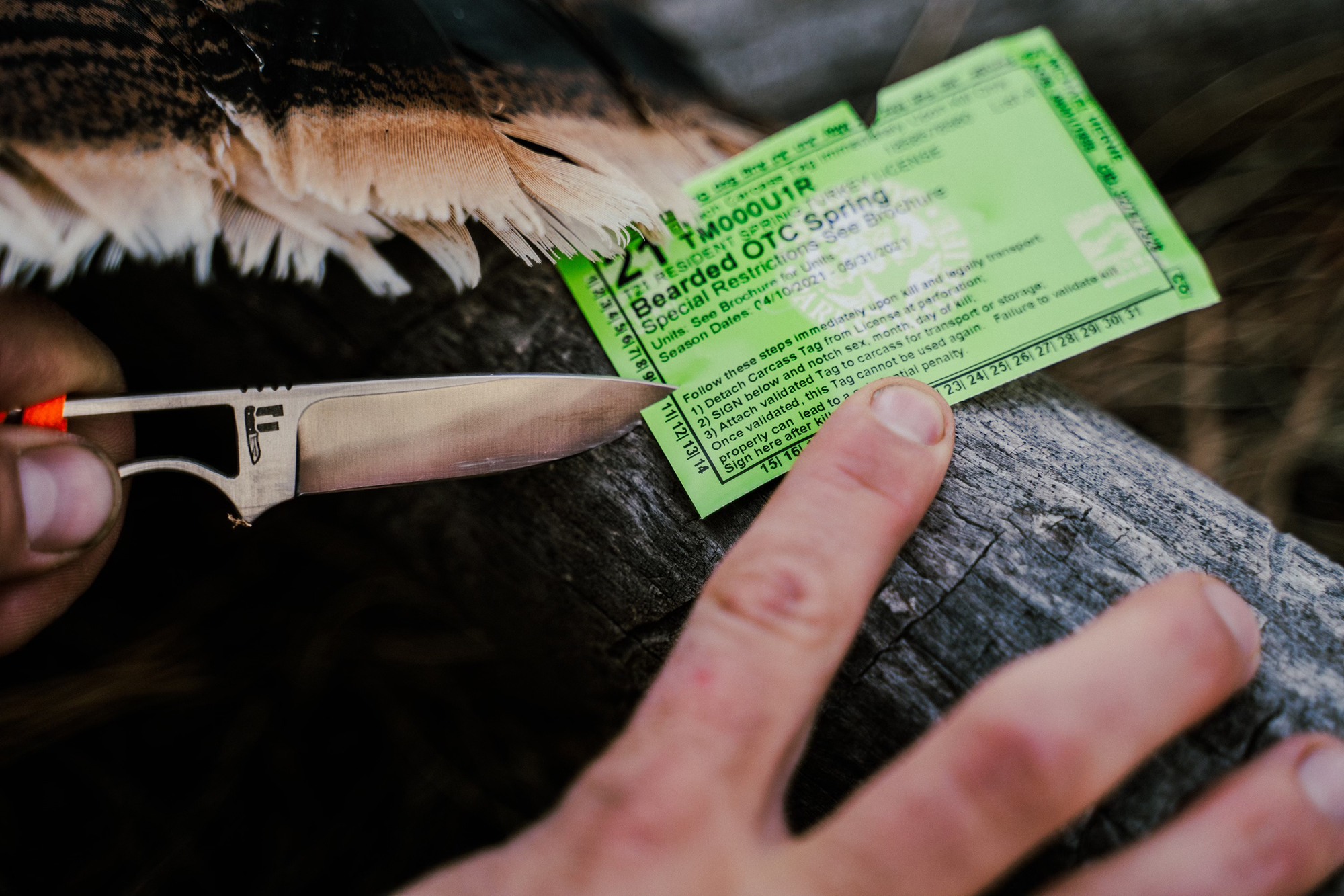 Buy Indiana Youth Hunting License at John Walsh blog