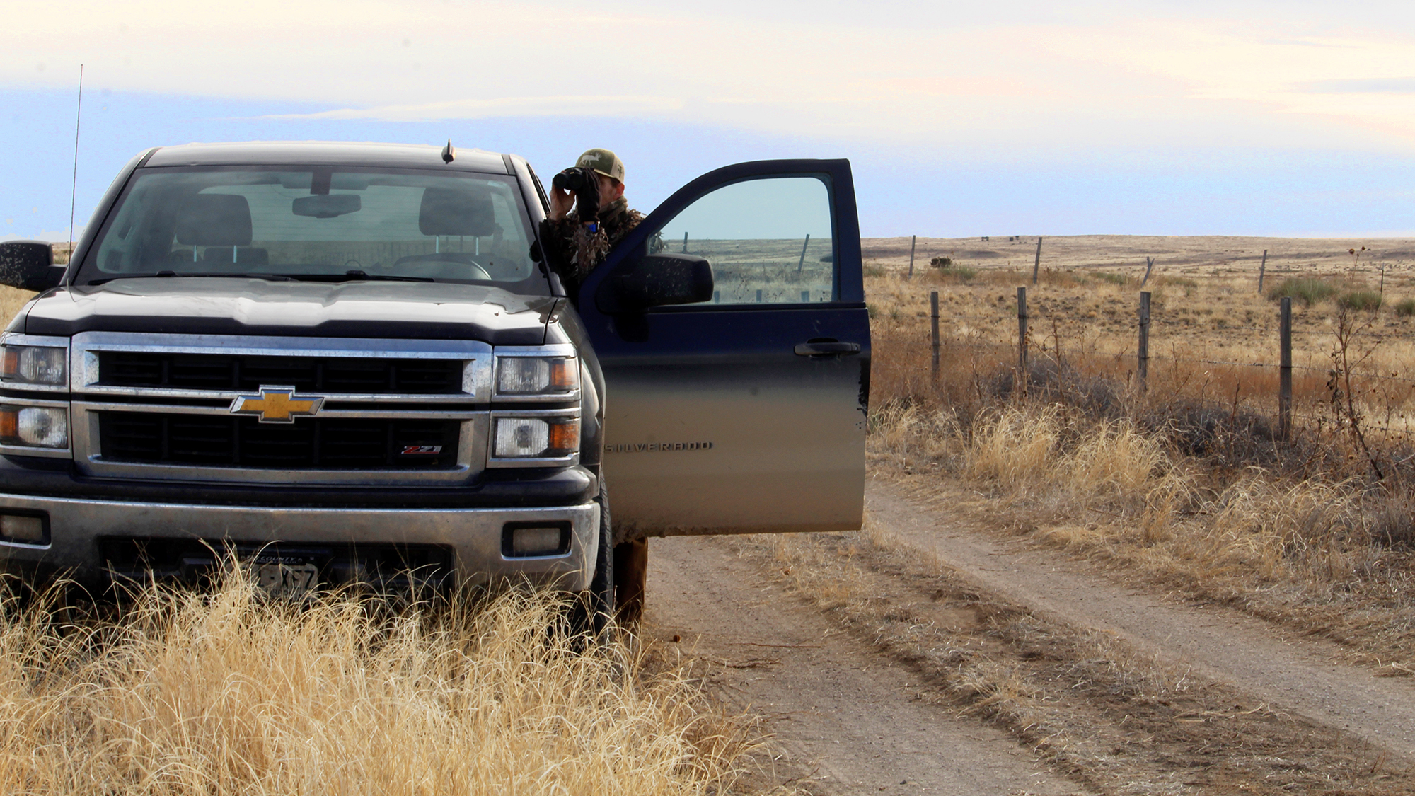 coyote hunting