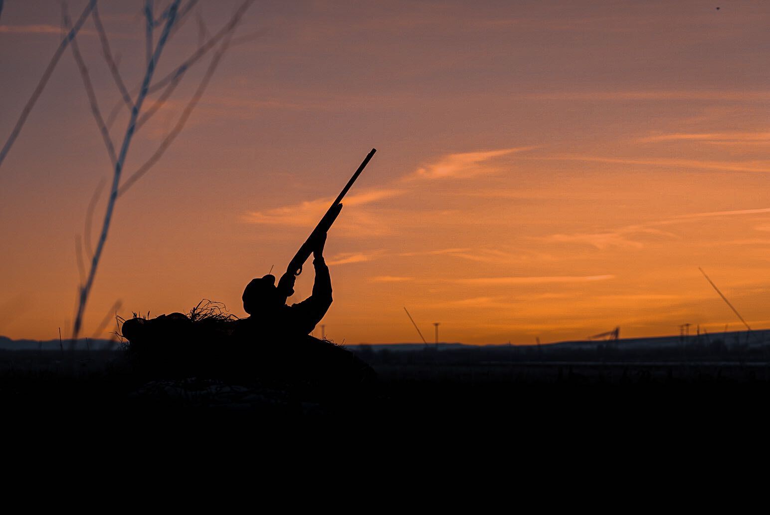 goose hunting