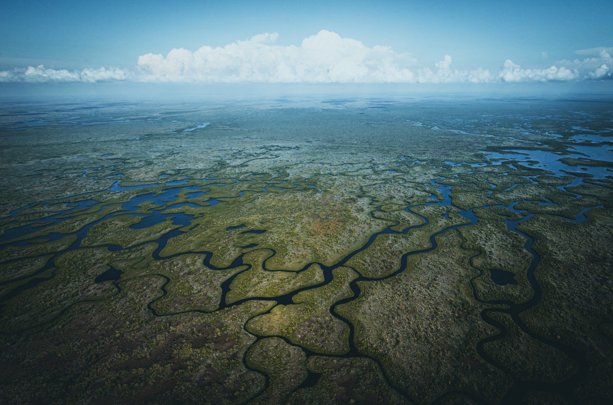 everglades restoration