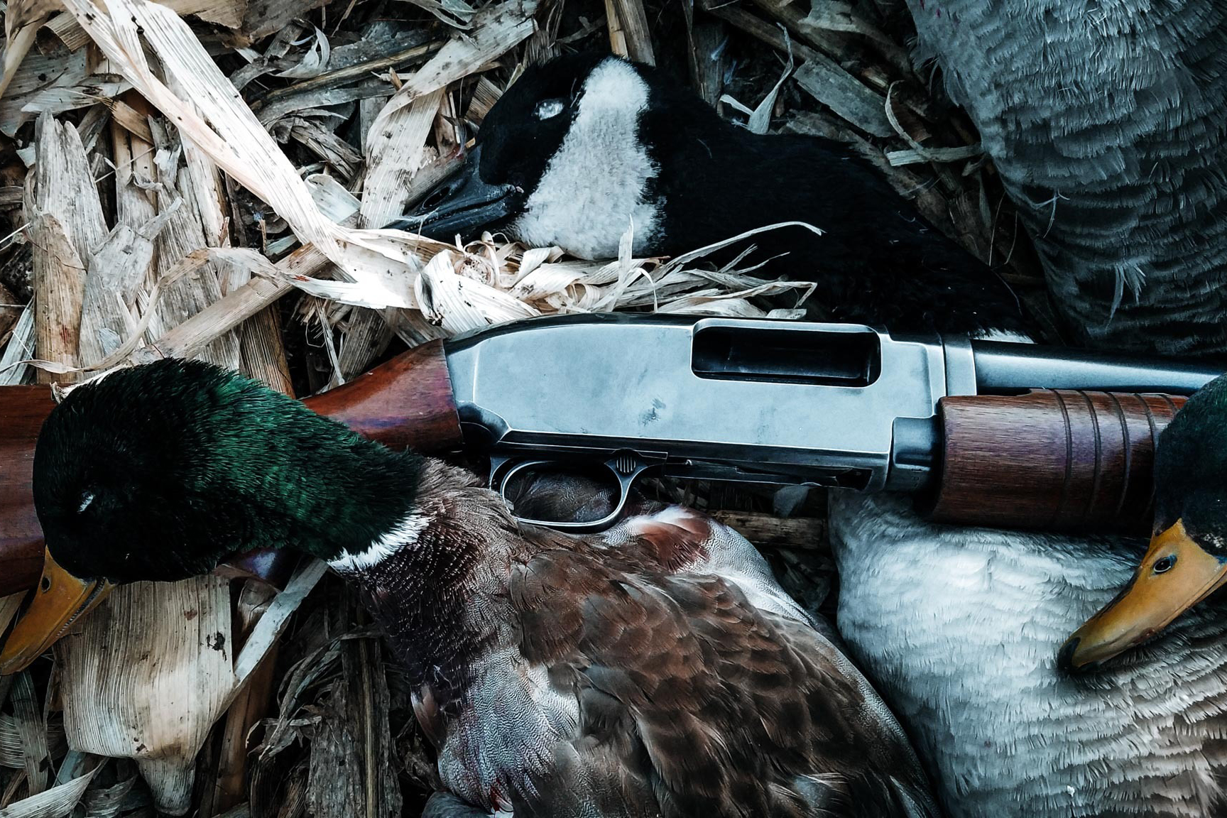 Lethal Lead Extended Shotgun Sight for Hunting Ducks Geese Pheasants Deer 