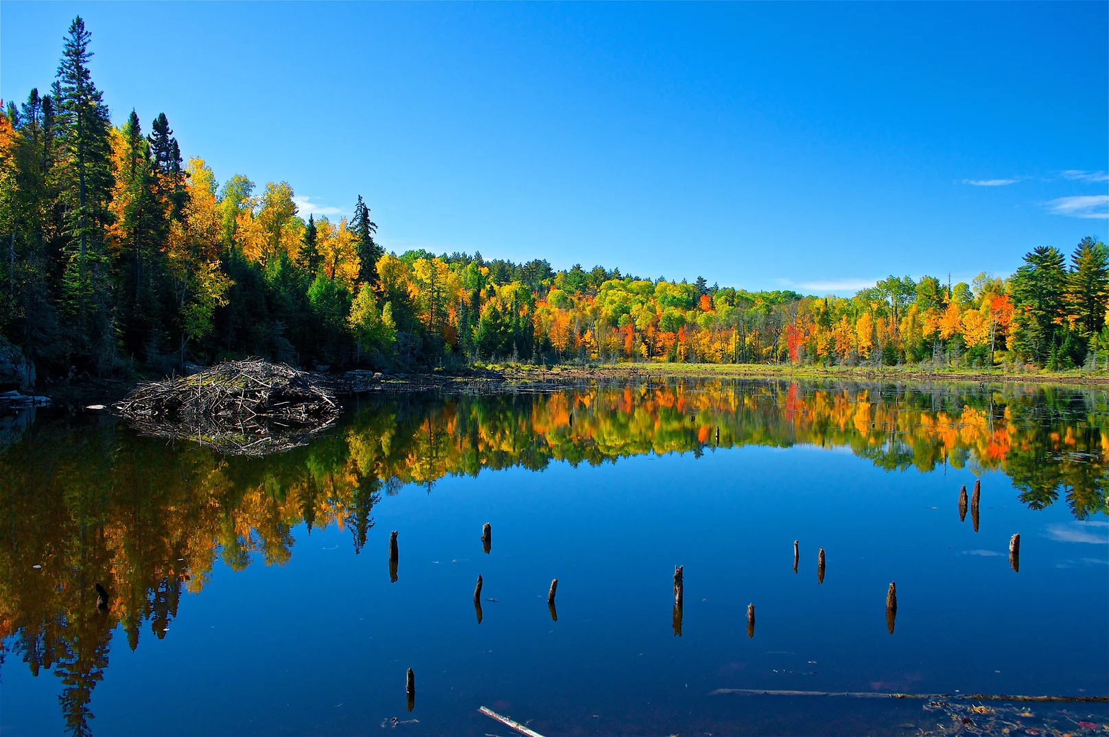 pond in voyageurs northern minnesota