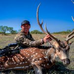 axis deer hunting in texas