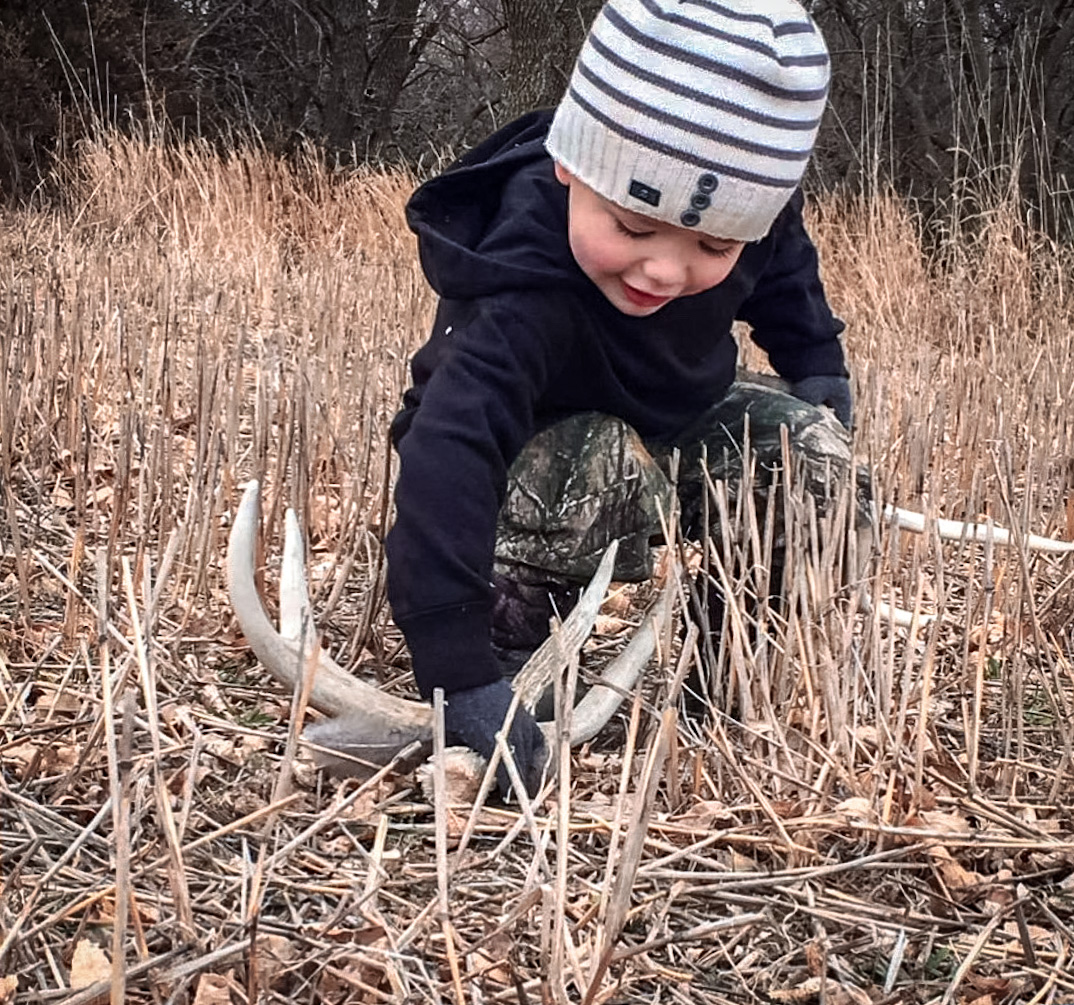 shed hunting tips