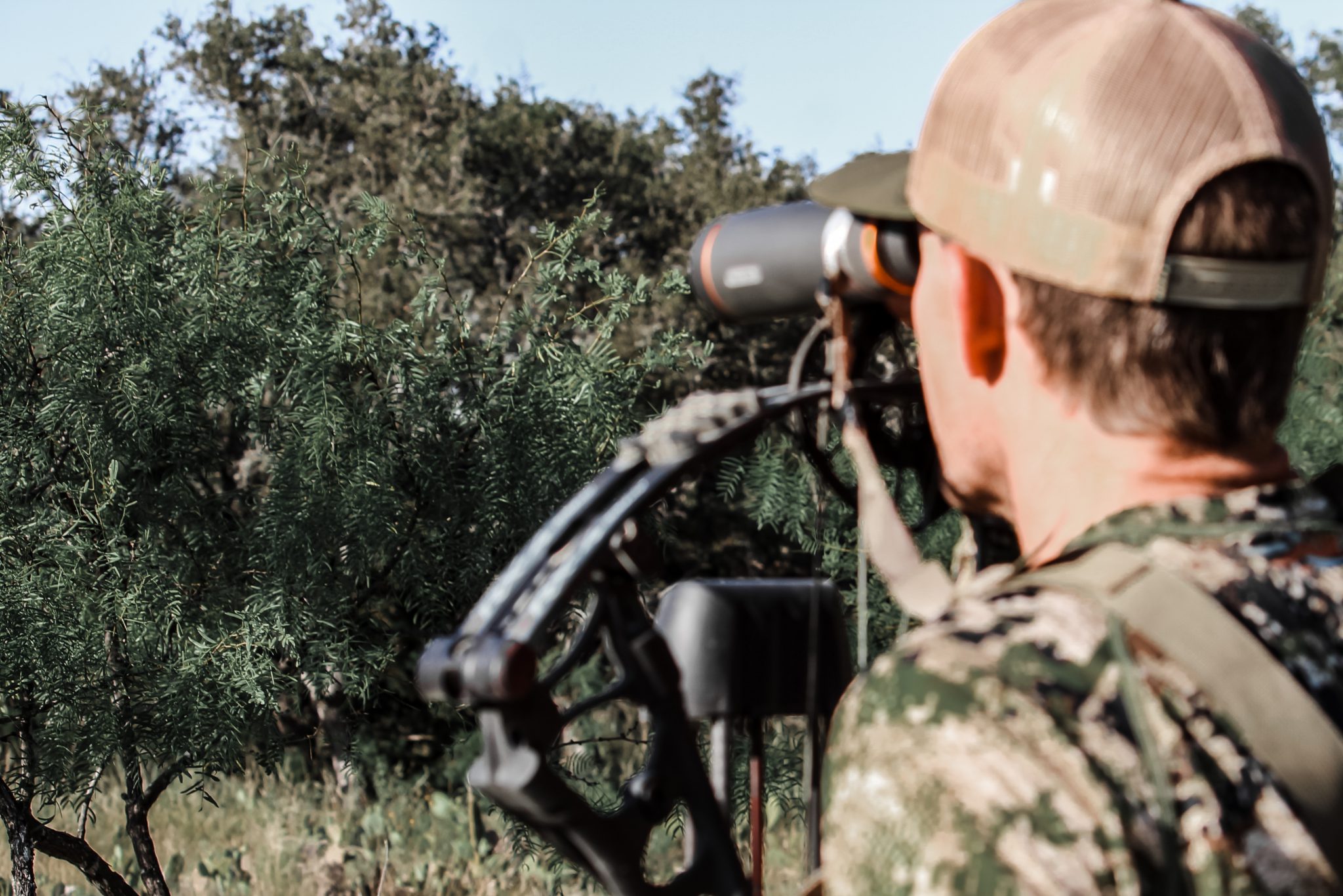 axis deer hunting in texas