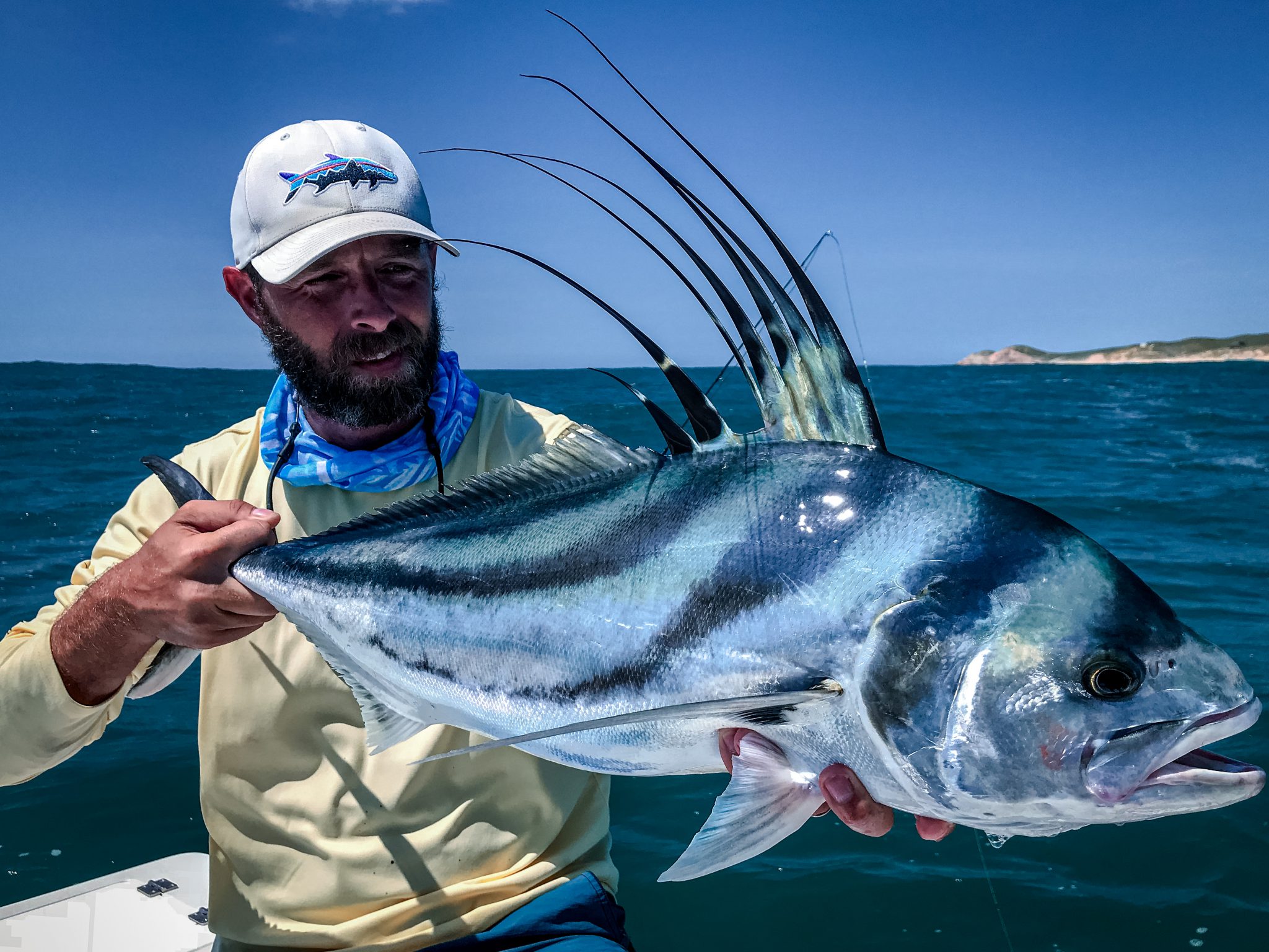 rooster fish cabo