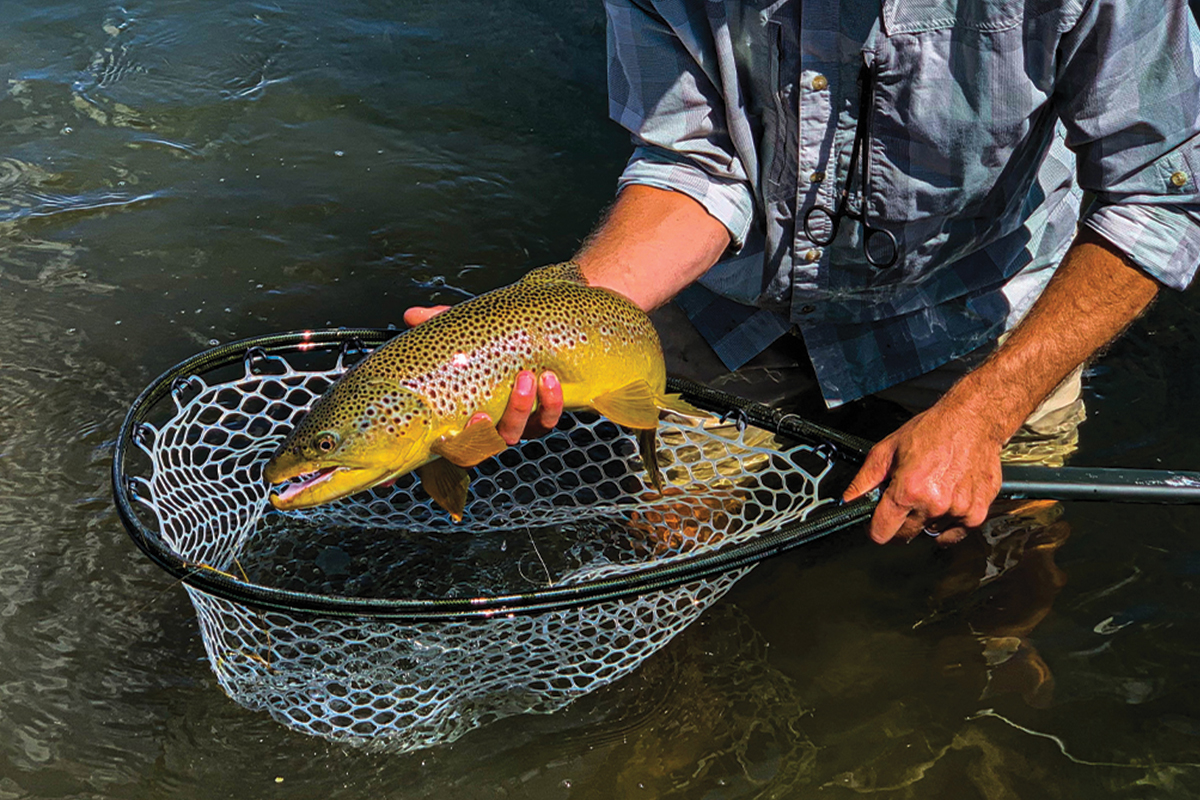 Sex Dungeon? The Best Named Fly-Fishing Flies of All Time