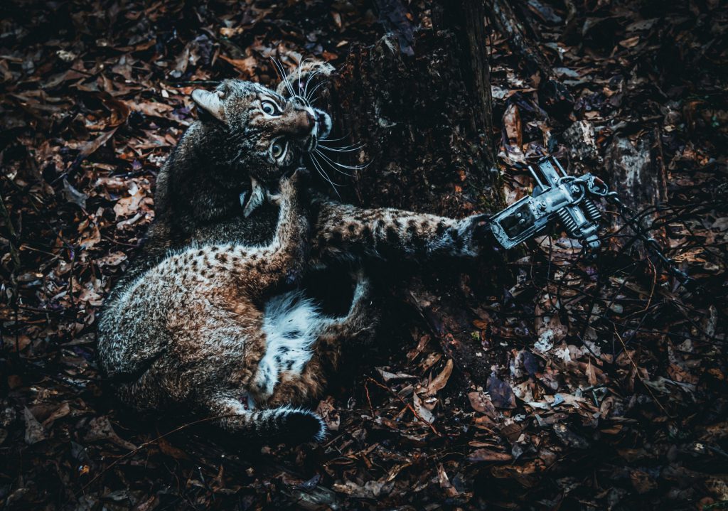 anti-hunting