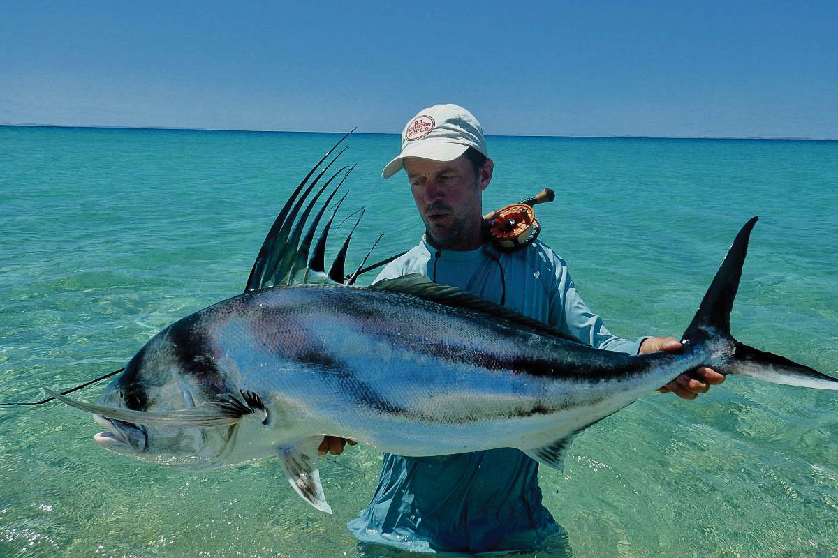 fly fishing for rooster fish