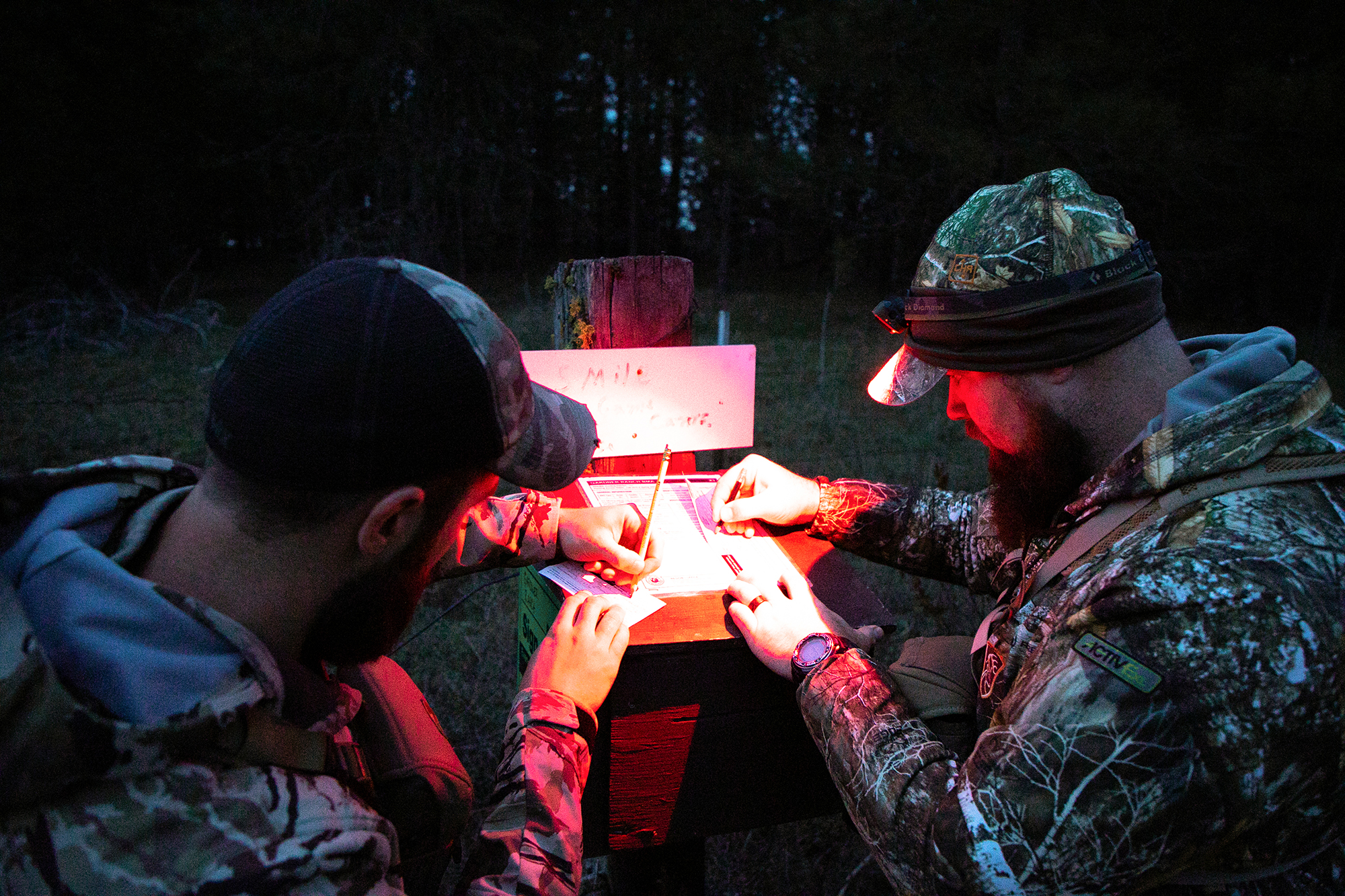 montana turkey hunting