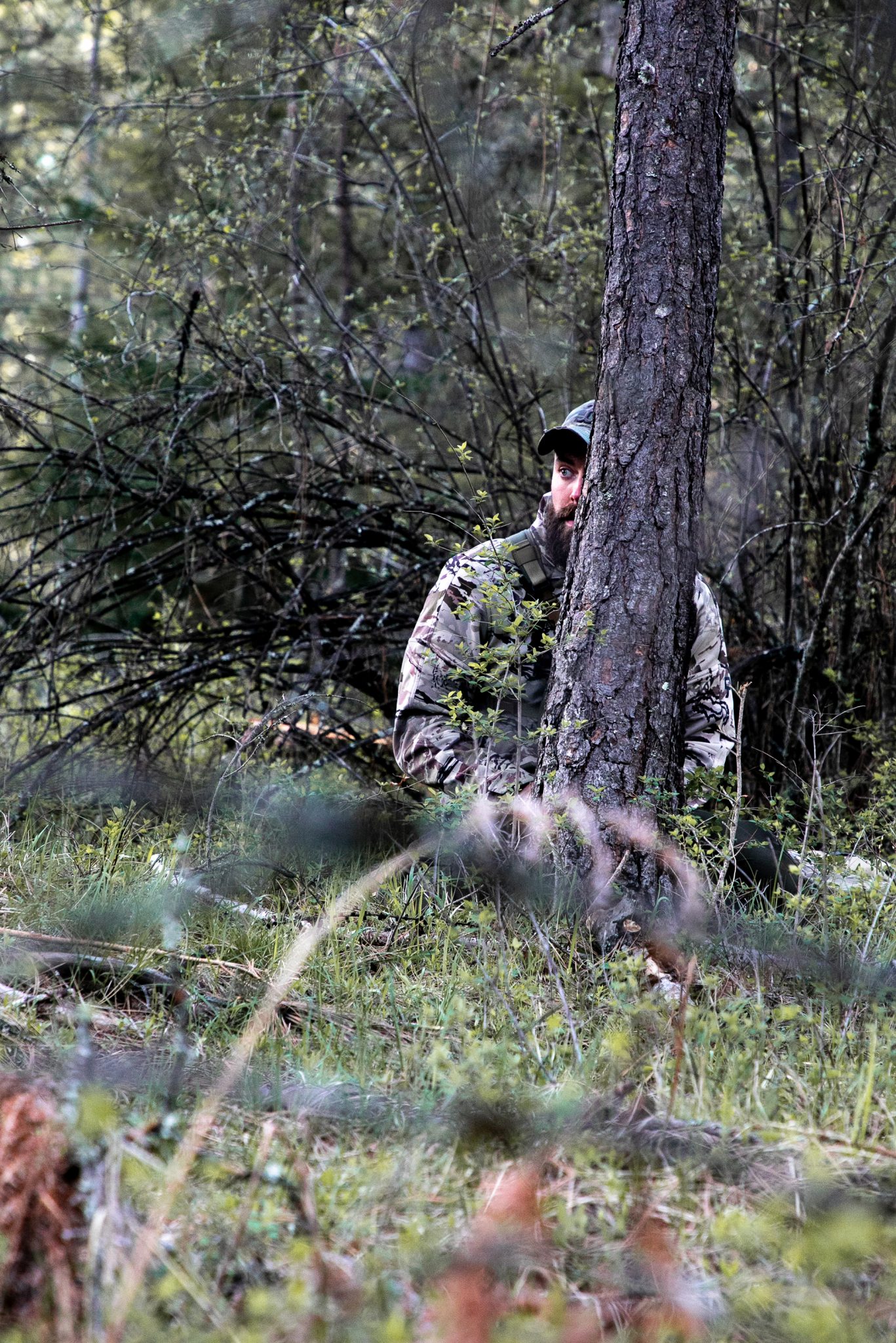 montana turkey hunting