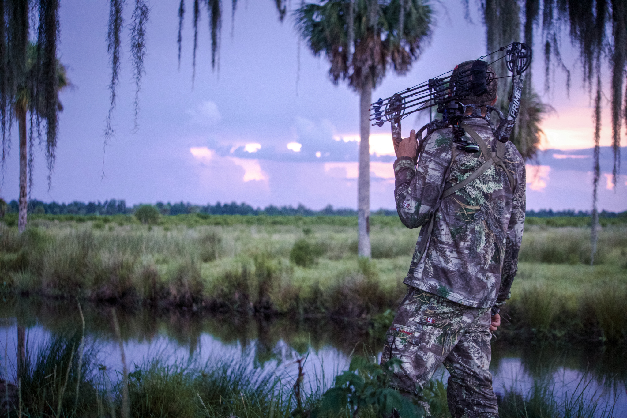 deer in florida