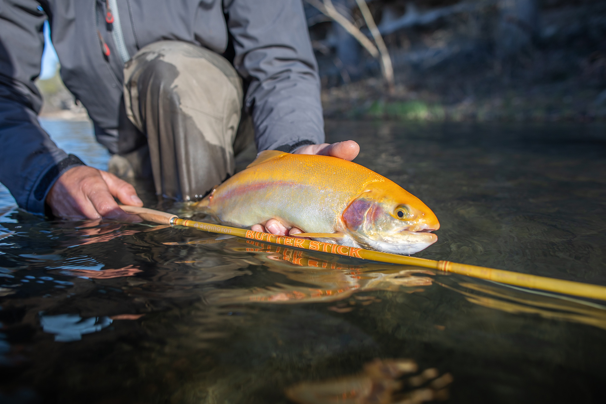 Redington Butter Stick Fly Rod - Western Rivers Flyfisher